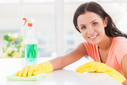 Professional house cleaning in a Marylebone apartment