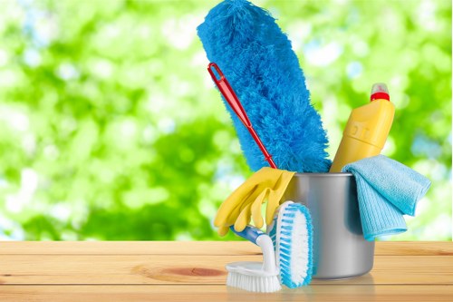 Professional upholstery cleaning for sofas in a Marylebone home