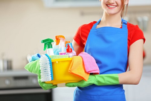 Regular cleaning in Marylebone for a well-kept period flat