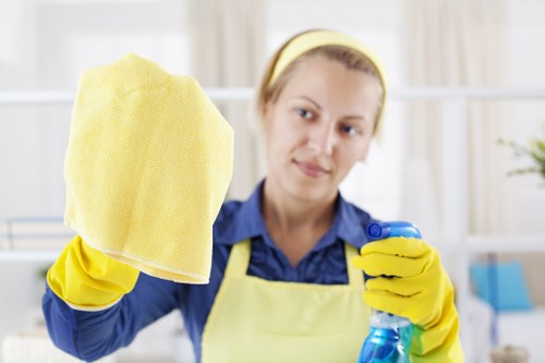 Carpet cleaning service in Marylebone with professional care