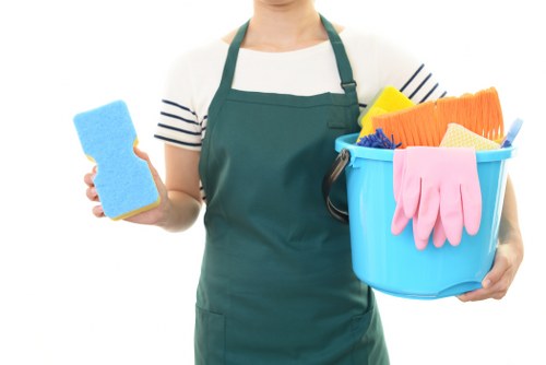 Freshening a Marylebone property after pet accident cleaning