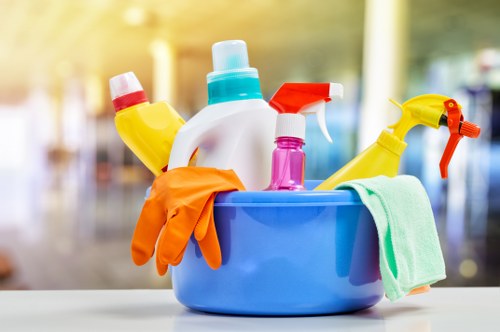 Professional domestic cleaning for a Marylebone home with period features