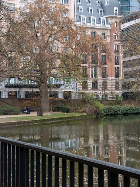 A view of a recreational area by a waterway in an urban setting, featuring a large deciduous tree with brown leaves, a grassy bank, and a paved pathway with a wooden bench and a trash bin. In the background, there are multi-storey buildings with modern glass facades and traditional brick architecture. The scene is illuminated by natural daylight, with reflections of the buildings and tree visible on the calm water surface. The area appears peaceful and well-maintained, ideal for outdoor relaxation. Marylebone Carpet Cleaners focuses on surface cleaning, deep cleaning, and sanitisation, ensuring hygienic environments in both residential and commercial settings.